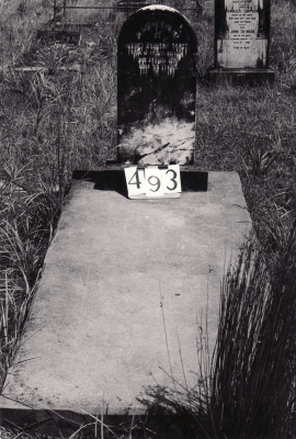 Historic picture of Makaraka cemetery, block MKG, plot 493.