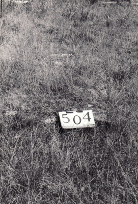 Historic picture of Makaraka cemetery, block MKG, plot 504.