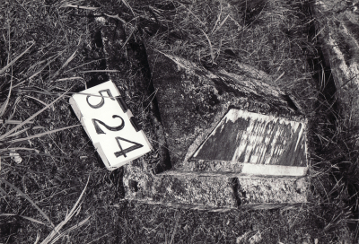 Historic picture of MAKARAKA cemetery, block MKG, plot 524.