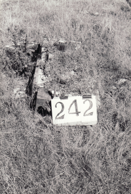 Historic picture of Makaraka cemetery, block MKH, plot 242.