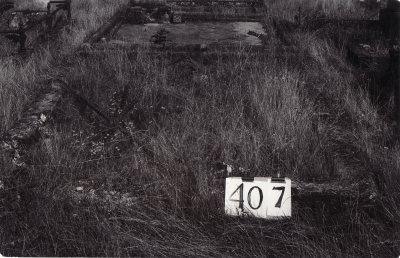Historic picture of Makaraka cemetery, block MKH, plot 407.