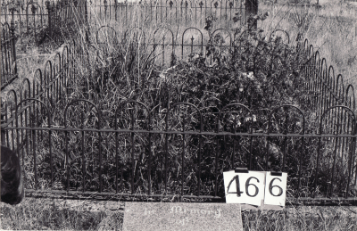Historic picture of Makaraka cemetery, block MKH, plot 466.