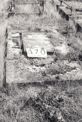 Historic picture of Makaraka cemetery, block MKH, plot 470.