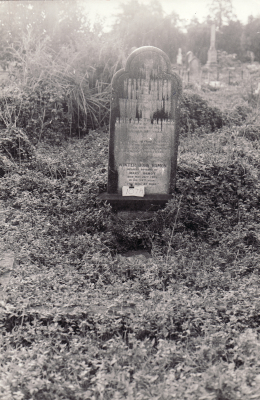 Historic picture of Makaraka cemetery, block MKOLD, plot 107.