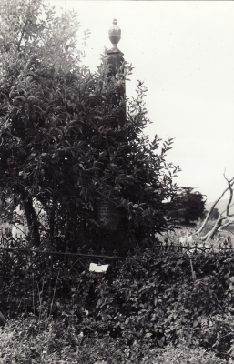 Historic picture of Makaraka cemetery, block MKOLD, plot 130.