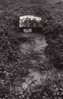 Historic picture of Makaraka cemetery, block MKOLD, plot 186.