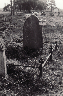 Historic picture of Makaraka cemetery, block MKOLD, plot 220.