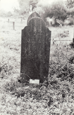 Historic picture of Makaraka cemetery, block MKOLD, plot 26.