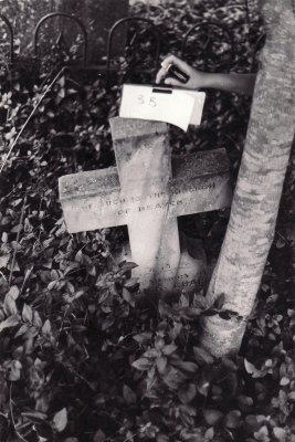 Historic picture of Makaraka cemetery, block MKOLD, plot 39.