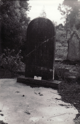 Historic picture of Makaraka cemetery, block MKOLD, plot 55.