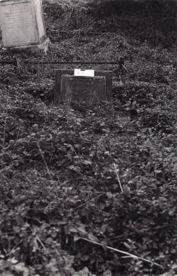 Historic picture of Makaraka cemetery, block MKOLD, plot 64.