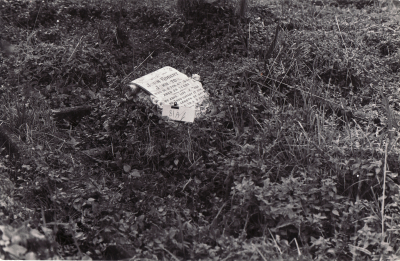 Historic picture of Makaraka cemetery, block MKOLD, plot 81.