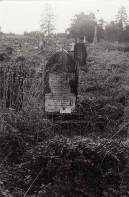 Historic picture of Makaraka cemetery, block MKOLD, plot 86.