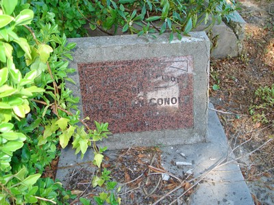 Historic picture of Tokomaru Bay cemetery, block TKE, plot 32.